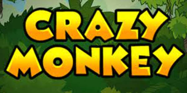 Игровые автоматы Crazy Monkey и особенности игры